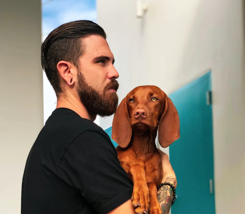 Fames Acturpis Egestas Sedtempus 1 article thumb 2 optimized