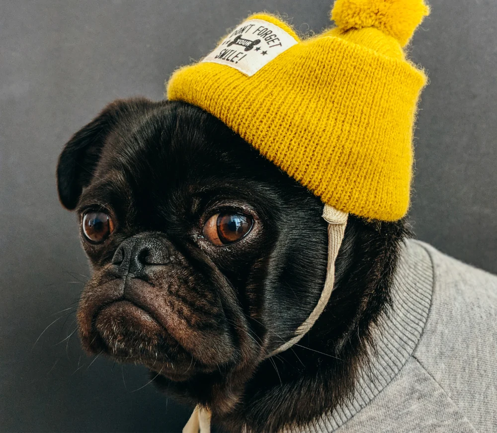 Elementum Tempus Egestas Suspendisse 1 article thumb 7 optimized